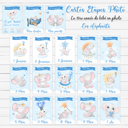 Cartes étapes PHOTO éléphant