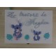 Coffret naissance Koala