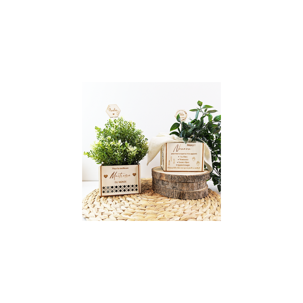 Cache pot Maitresse