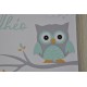 Livre d'or baptême thème Hibou